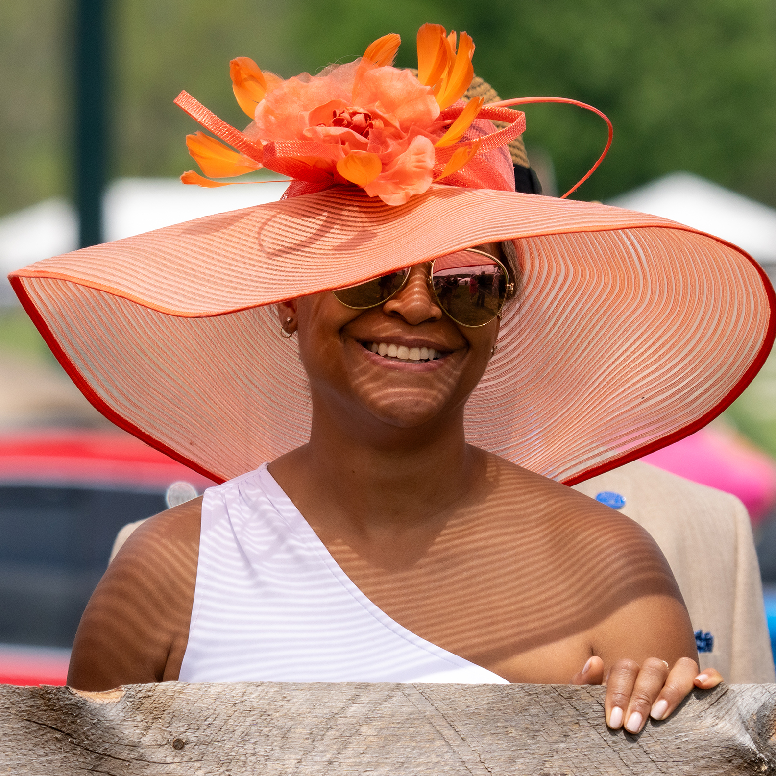 The Virginia Gold Cup